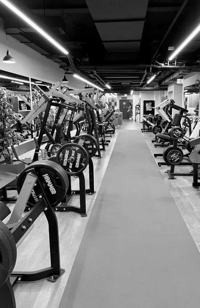 wien personal training