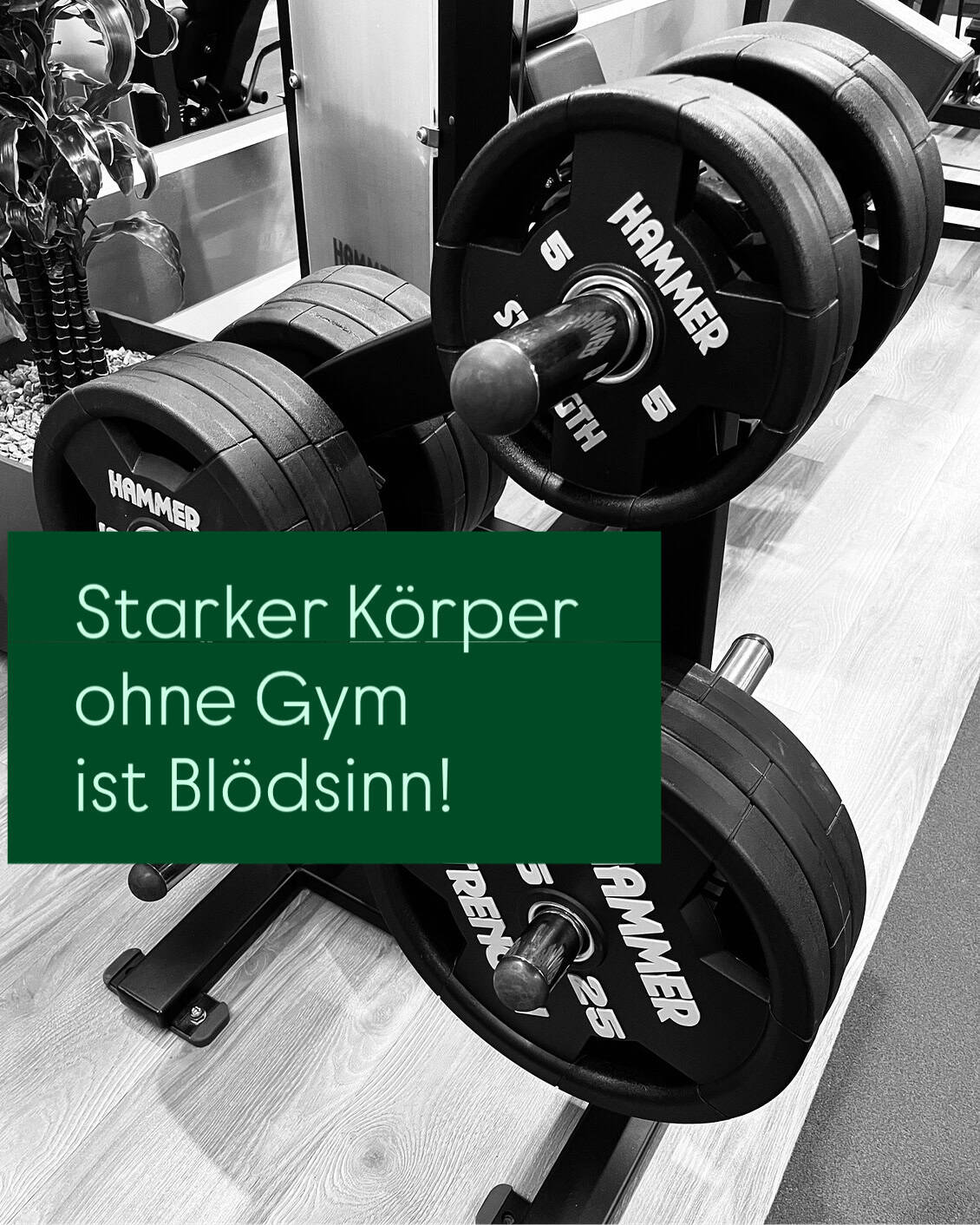 Personal Training in Vienna