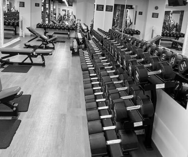 Personal Training in Vienna